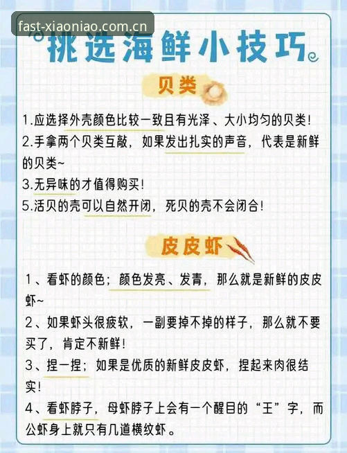 小鸟平台登录官方中国站兼容版更新迭代：避坑指南与实用技巧最新动态